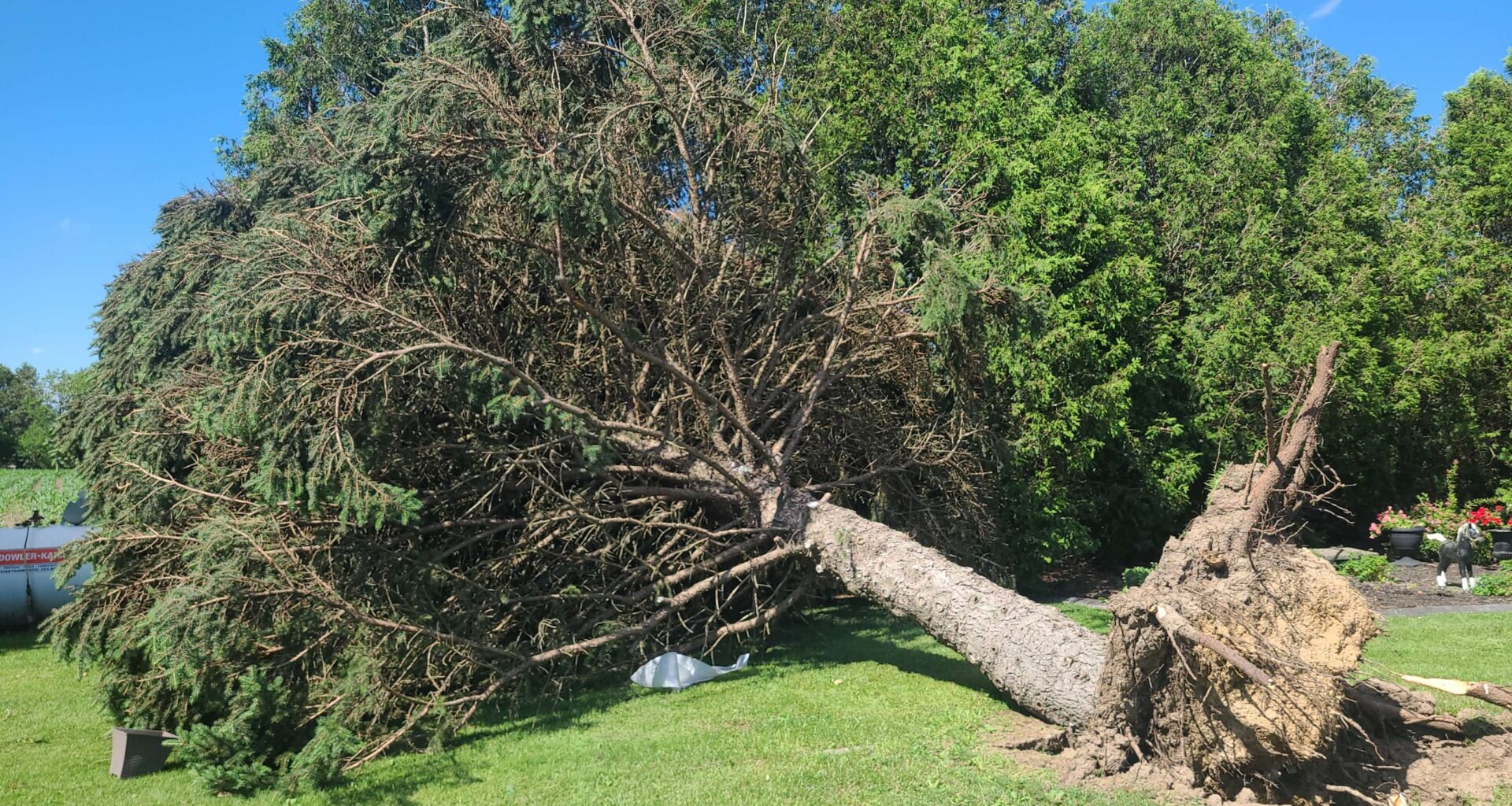 Tornado and downbursts confirmed as damage reported in southern Ontario
