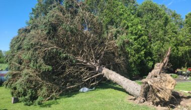 Tornado and downbursts confirmed as damage reported in southern Ontario