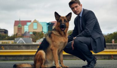 Canadian TV is going to the (literal) dogs, and other lessons