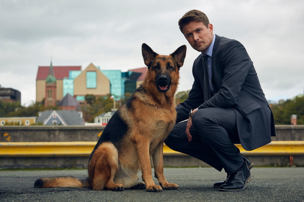 Canadian TV is going to the (literal) dogs, and other lessons