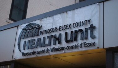 windsor