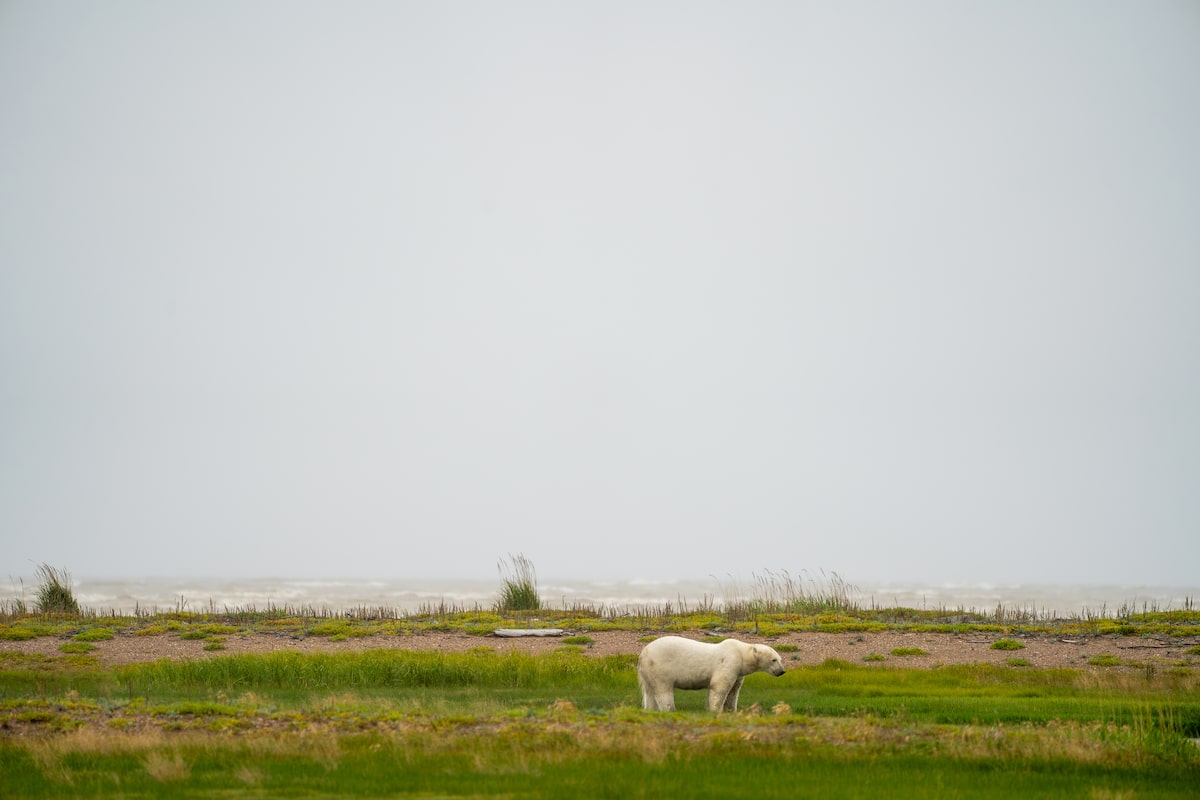 Exploring Churchill’s rugged beauty by bike (just watch out for polar bears)