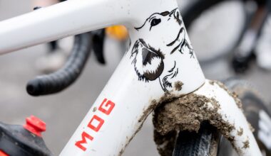 Tribute to a man's best friend - Alexey Vermeulen's custom-painted 'Sir Willie' Enve bike for Unbound Gravel