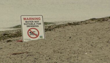 Sunset Beach closed for swimming