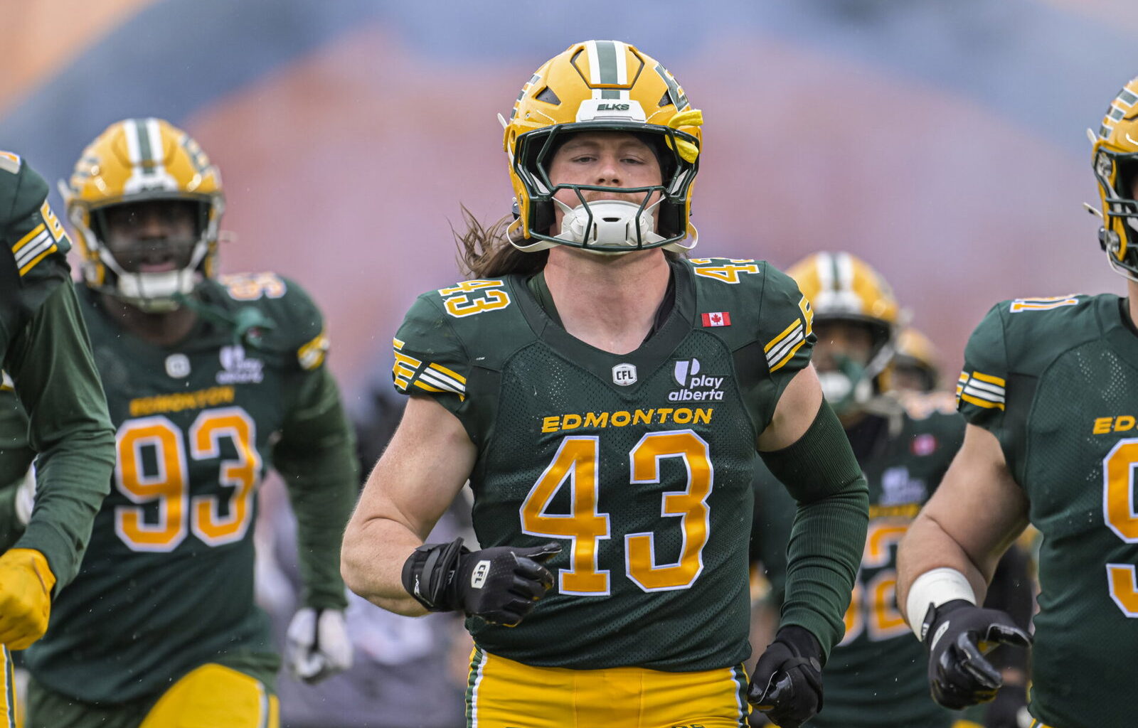 Brock Mogensen to replace Nick Anderson for Edmonton Elks