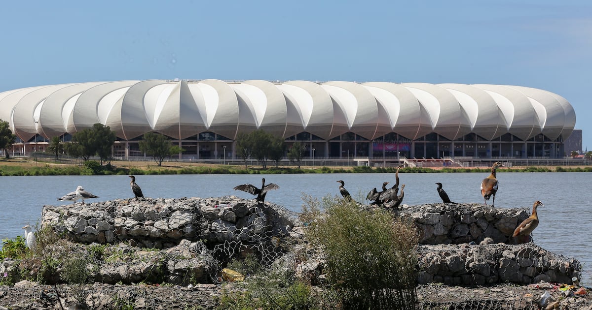 Minister asked to probe Bay film and boxing event