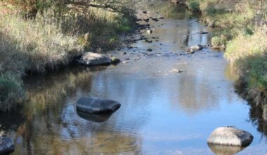 Etobicoke Creek brampton sewer