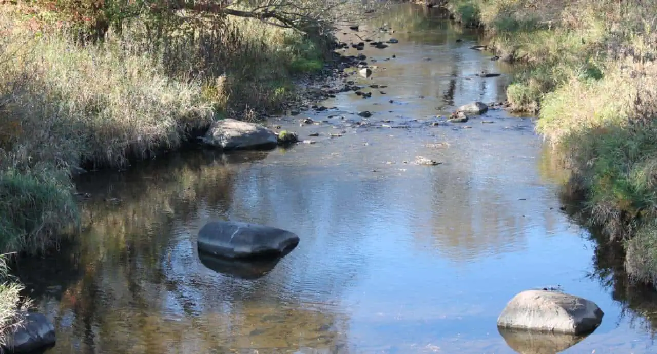 Etobicoke Creek brampton sewer