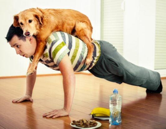 Exercising using dog as weight for push ups 