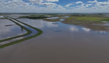 Farmers in flood-impacted areas call on province for action on drainage, damaged croplands