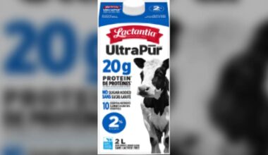 Milk sold at Costco recalled - CTV News
