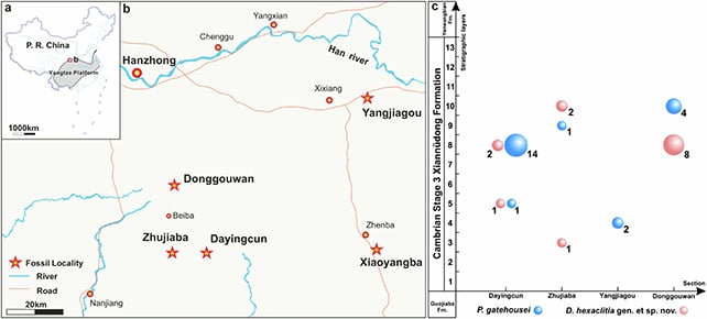Fossil map