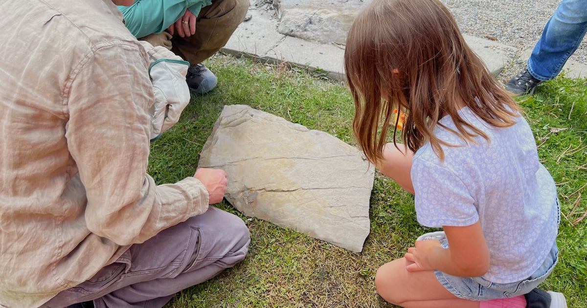 Rare fossil: Calgary girl's remarkable playground discovery