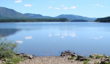 17-year-old boy presumed dead after boat capsizes on B.C. lake - CTV News