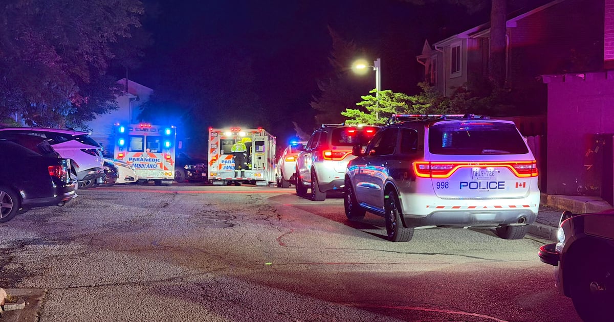 Mississauga double stabbing