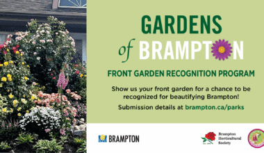 Brampton front gardens take centre stage in annual recognition program