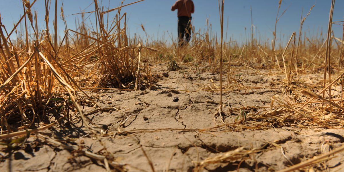 El Niño events have led to trillions in economic losses, and the 2026 cycle won’t be any different
