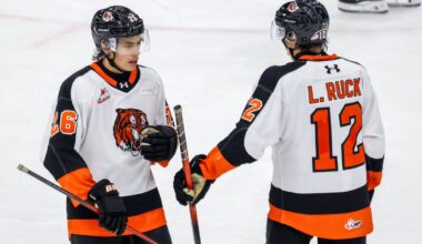 Canucks NHL Combine notes: The Ruck twins, Ivar Stenberg and Viggo Björck