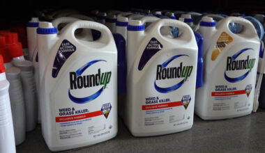 Roundup, cancer, and the difference between scientific, legal causation