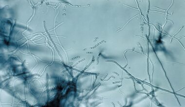 Antibiotic "megacluster" discovery provides new strategy to fight superbugs