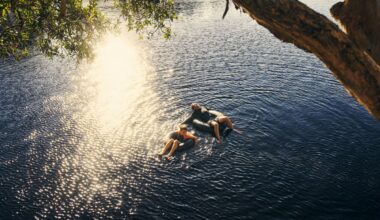 Just 45 minutes from downtown Montreal—this lovely beach is located in the heart of a nature park where you can also go birdwatching this summer