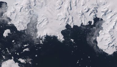 Why did the Montreal Protocol succeed?