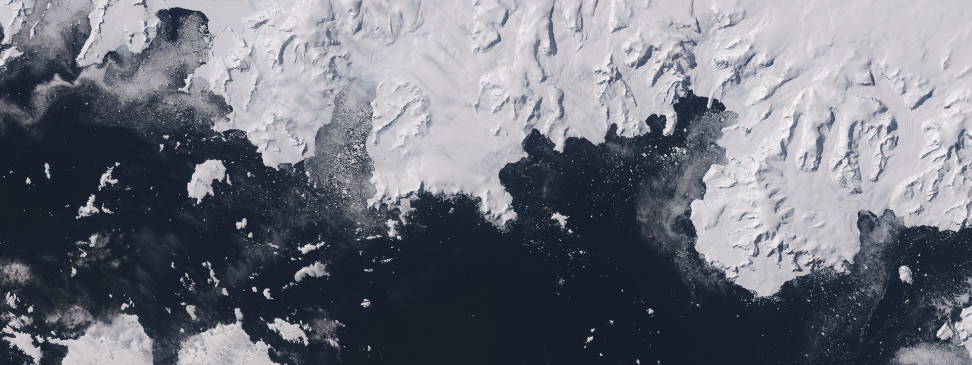 Why did the Montreal Protocol succeed?