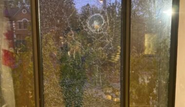Toronto police link synagogue shootings to paid teen ‘criminals for hire’ network