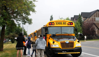 Newfoundland and Labrador can save millions on buses — if parents can stomach the changes - CTV News