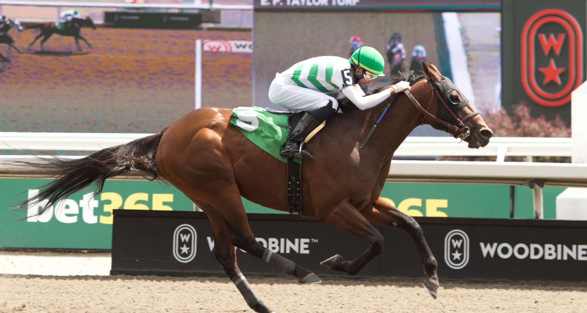 From Winnipeg to Toronto: Badrie Eyes Breakthrough at Woodbine