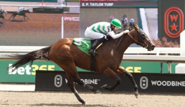 From Winnipeg to Toronto: Badrie Eyes Breakthrough at Woodbine