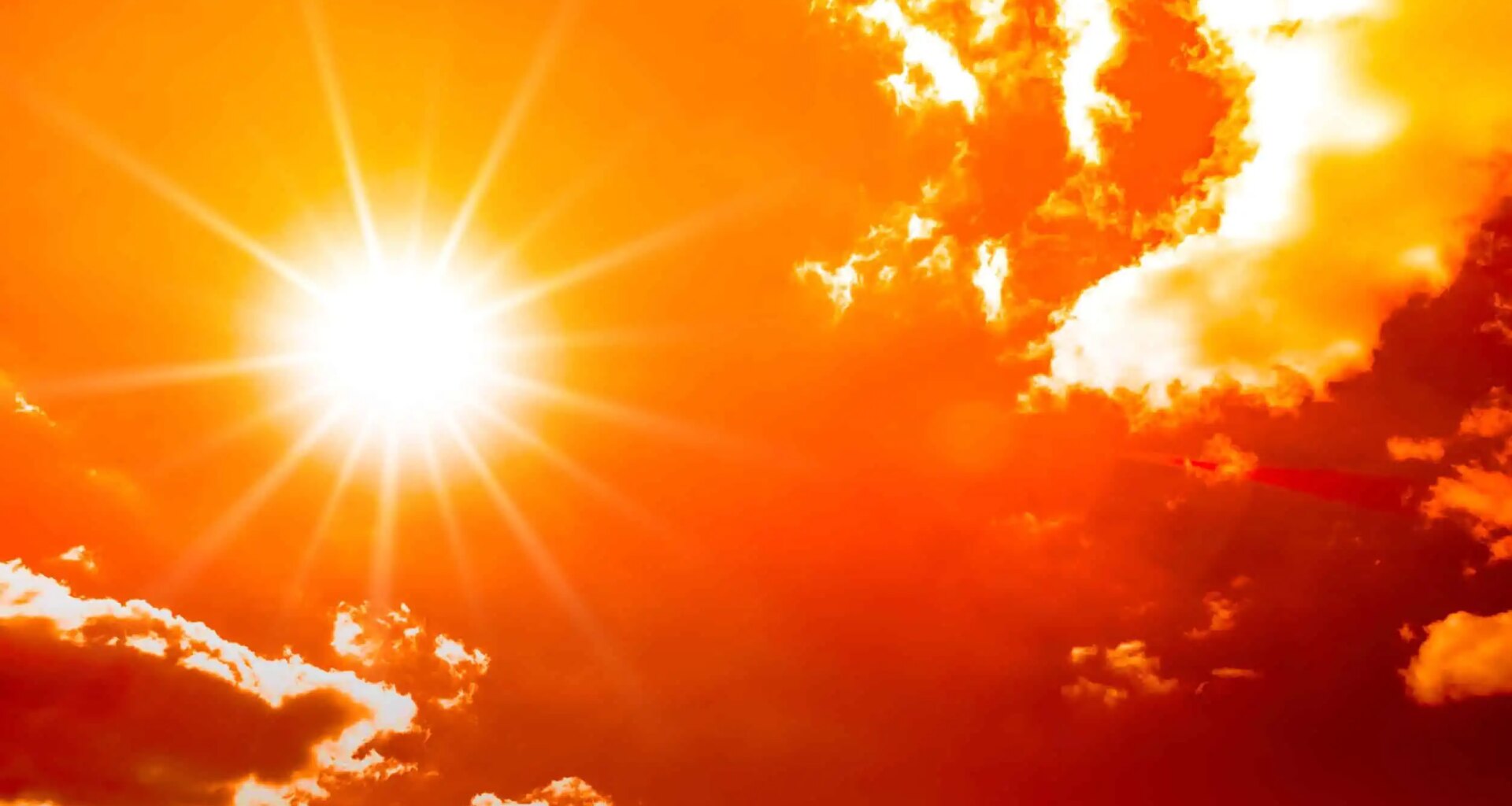 Ontario, Mississauga, weather, forecast, heat, temperatures, sun and cloud, showers, thunderstorm