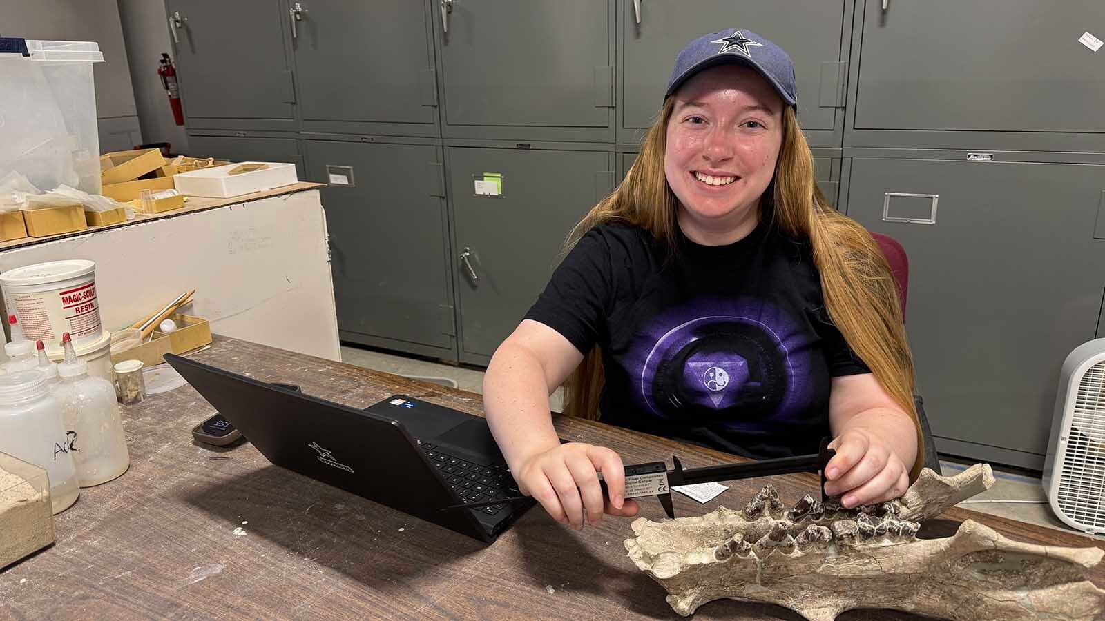 Brynn Wooten measuring the lower jaw of an Archaeotherium with digital calipers at the University of Florida Museum of Natural History in Gainesville.