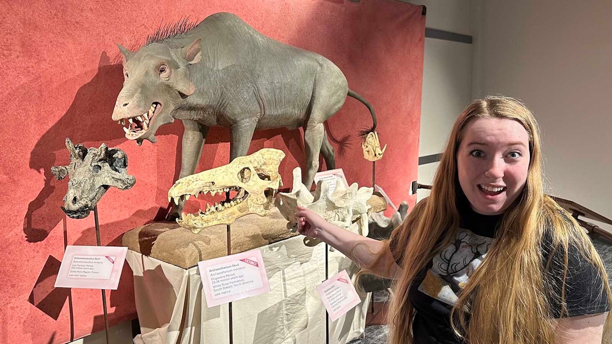 Wyoming's Prehistoric Hell Pigs Looked Like Pigs But Were More Like Whales And Hippos