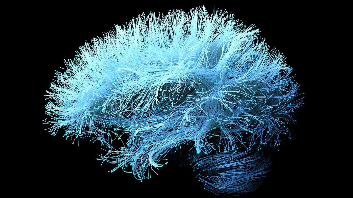 A Supplement For Joint Pain Could Accelerate Alzheimer's Memory Loss : ScienceAlert