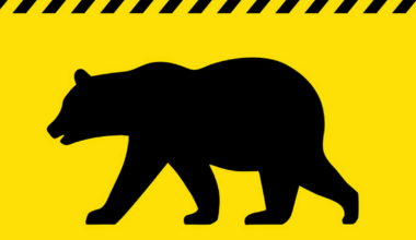 Hunter Kills Charging Grizzly, Saves Himself…