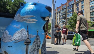 FIFA World Cup 2026: Beaver sculptures welcome tourists in Toronto