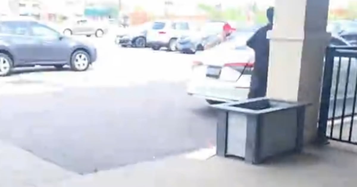 Mississauga LCBO Theft video under police investigation