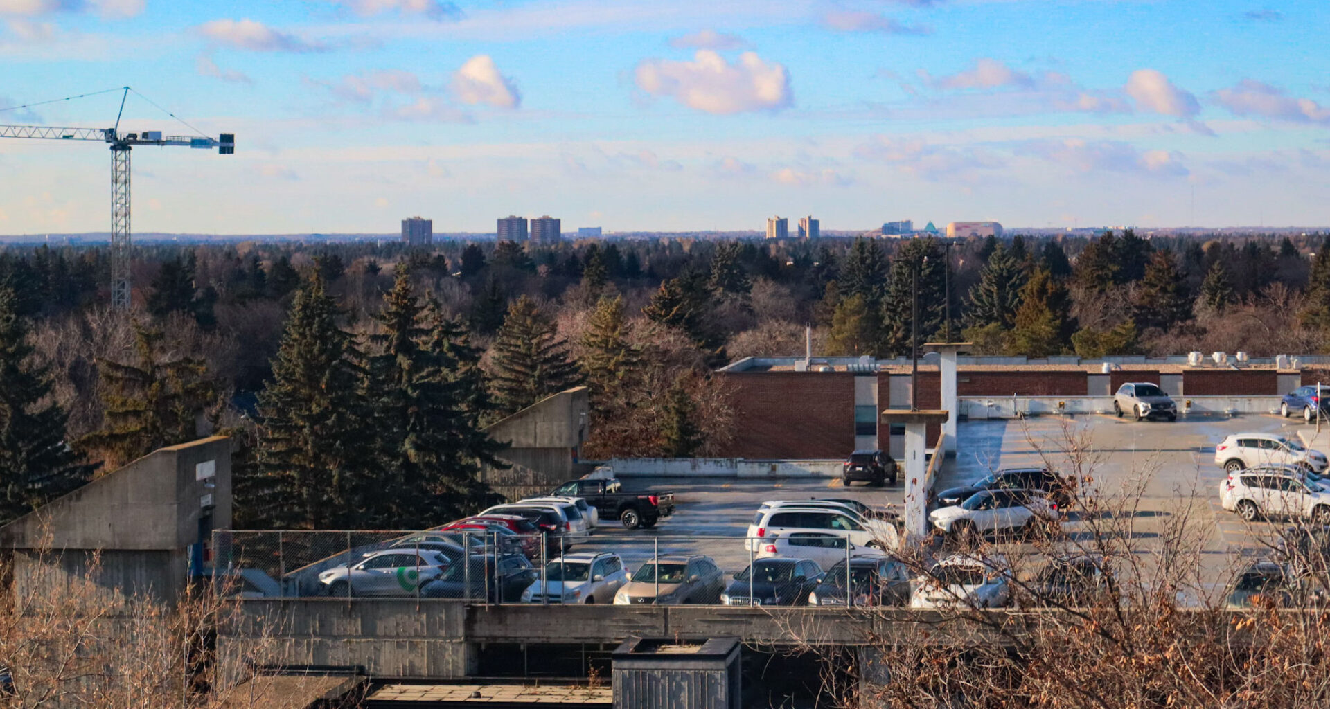 Edmonton’s parking changes cost more than they appear