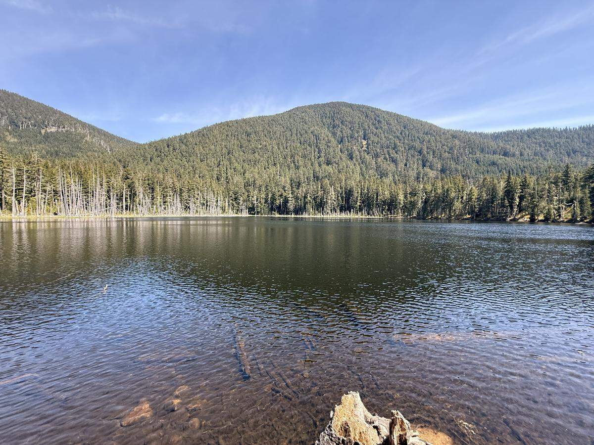 Mowich Lake as seen by Mayor Peloli on a recent scouting mission.