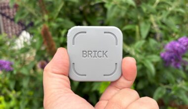 a Brick held between thumb and forefinger