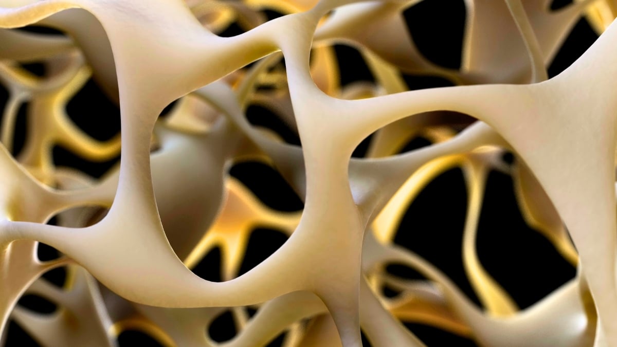 Breakthrough to Make Bones Stronger Could Reverse Osteoporosis : ScienceAlert
