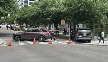 Pedestrian critically hurt in NE Calgary crash