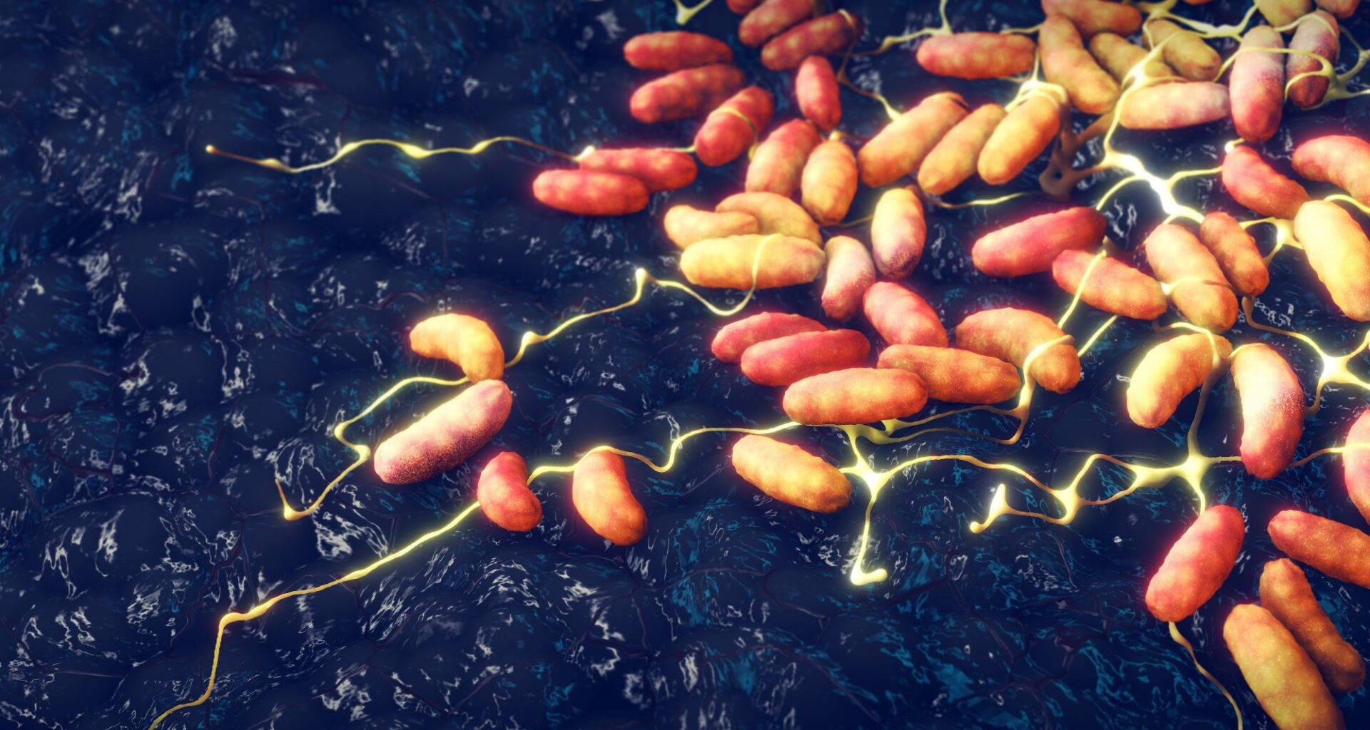 Plague emerged earlier than thought and hit hunter-gatherers hard