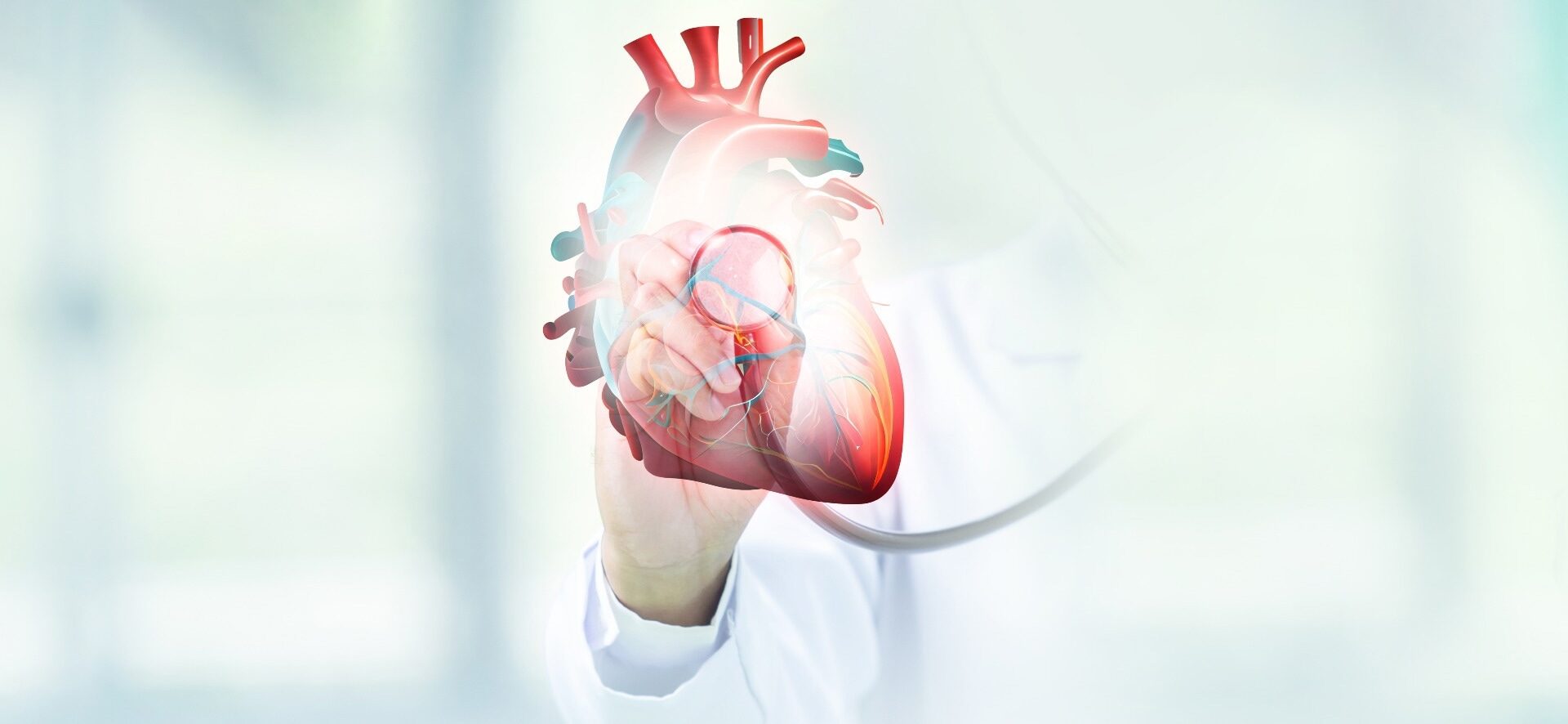 Study: Life-span–dependent transcriptional dynamics of the human heart. Image Credit: Vishal Bhaskar Nagtilak / Shutterstock