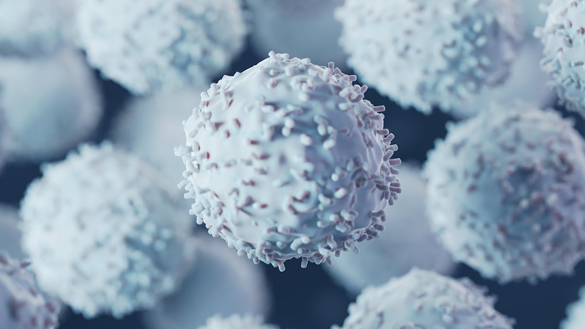 New Immune System Discovery Could Help Beat a Sneaky Cancer Cell Trick : ScienceAlert