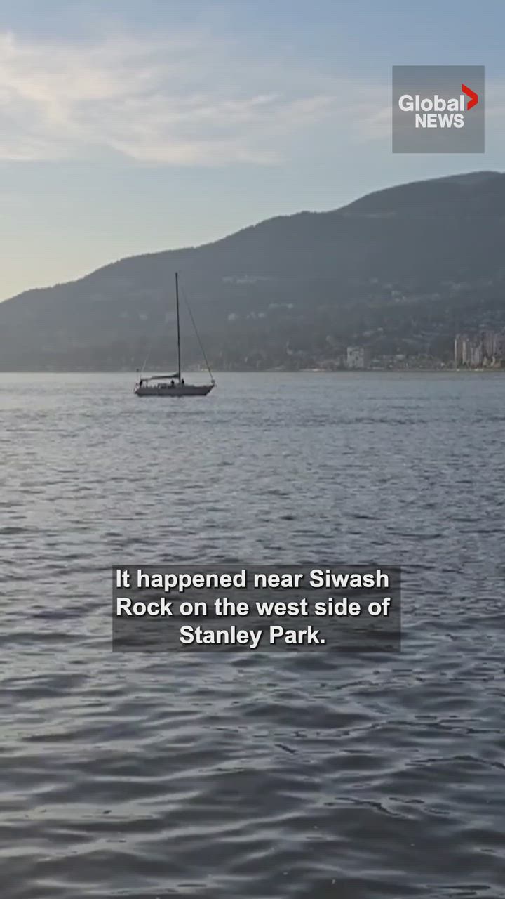 Click to play video: 'The moment a jet ski strikes a gray whale off Vancouver’s Stanley Park'