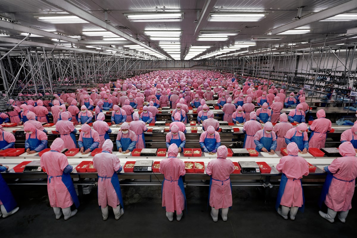 Biography explores life and work of environmental photographer Edward Burtynsky