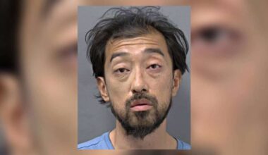 15 criminal charges for Mississauga man accused of throwing rocks at cars