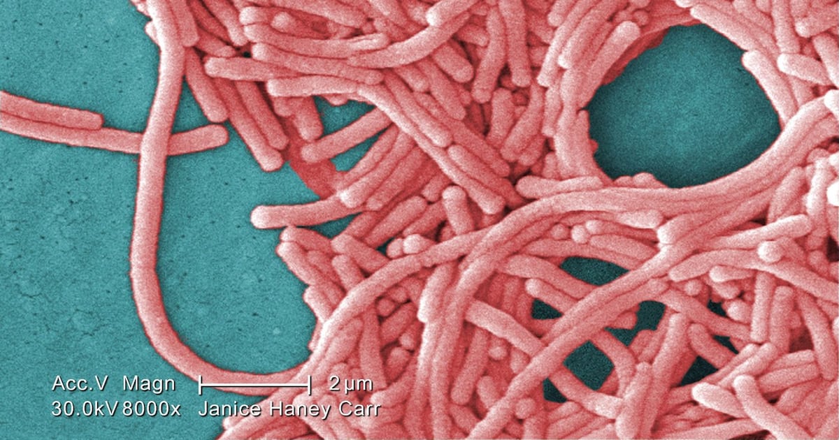 Legionellosis outbreak in Hamilton over, public health officials say